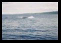 Splashing down