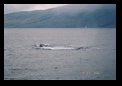 Churning under