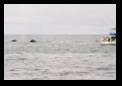 Another boat gets visitors