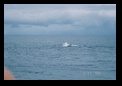 Waving and splashing