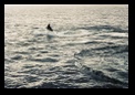 A wave right next to a big wave!