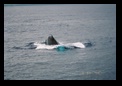 Turquoise water as he dives