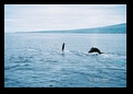 A wave and a back