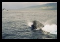 A lunge right at the back of the boat
