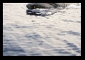 He was close, but not in the view finder